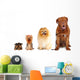 Group of dogs different sizes isolated Wall Decal