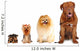 Group of dogs different sizes isolated Wall Decal