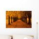 Autumn Colors in the Forest Wall Mural