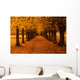 Autumn Colors in the Forest Wall Mural