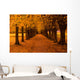 Autumn Colors in the Forest Wall Mural