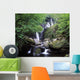 Torc Waterfall, Killarney, Co Kerry, Ireland Wall Mural