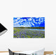 Texas Hill Country Wall Decal
