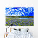 Texas Hill Country Wall Decal