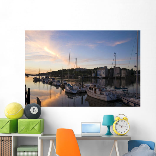 River Suir, From Millenium Plaza, Waterford City, Ireland Wall Mural