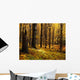 Autumn Forest Wall Mural
