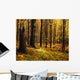 Autumn Forest Wall Mural