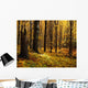 Autumn Forest Wall Mural