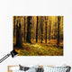 Autumn Forest Wall Mural