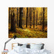 Autumn Forest Wall Mural