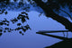 Lake And Trees At Dusk Wall Mural