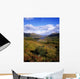 Ladies' View, Killarney, Co Kerry, Ireland Wall Mural