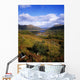 Ladies' View, Killarney, Co Kerry, Ireland Wall Mural