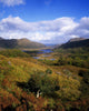 Ladies' View, Killarney, Co Kerry, Ireland Wall Mural