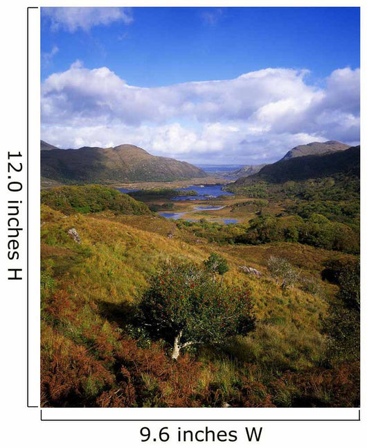 Ladies' View, Killarney, Co Kerry, Ireland Wall Mural