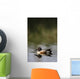 Duck On Water Wall Mural