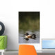 Duck On Water Wall Mural