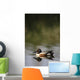 Duck On Water Wall Mural