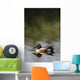Duck On Water Wall Mural
