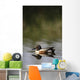 Duck On Water Wall Mural