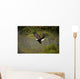 Eagle Landing On Water's Edge Wall Mural