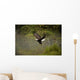 Eagle Landing On Water's Edge Wall Mural