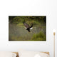 Eagle Landing On Water's Edge Wall Mural