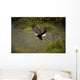 Eagle Landing On Water's Edge Wall Mural
