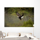 Eagle Landing On Water's Edge Wall Mural
