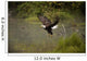 Eagle Landing On Water's Edge Wall Mural