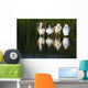 Pelicans In Water Wall Mural