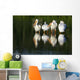 Pelicans In Water Wall Mural