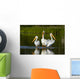 Pelicans In The Water Wall Mural
