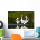 Pelicans In The Water Wall Mural