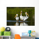 Pelicans In The Water Wall Mural