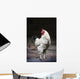 Rooster On A Fence Wall Mural