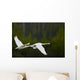 Geese In Flight Wall Mural