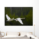Geese In Flight Wall Mural