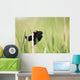 Bird Perched On Twig Wall Mural