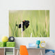Bird Perched On Twig Wall Mural