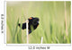 Bird Perched On Twig Wall Mural