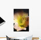 Flower With Dew Wall Mural