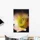 Flower With Dew Wall Mural