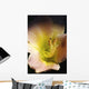 Flower With Dew Wall Mural