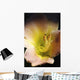 Flower With Dew Wall Mural