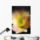 Flower With Dew Wall Mural