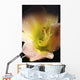 Flower With Dew Wall Mural