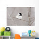 Bird On A Branch Wall Mural