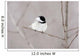 Bird On A Branch Wall Mural