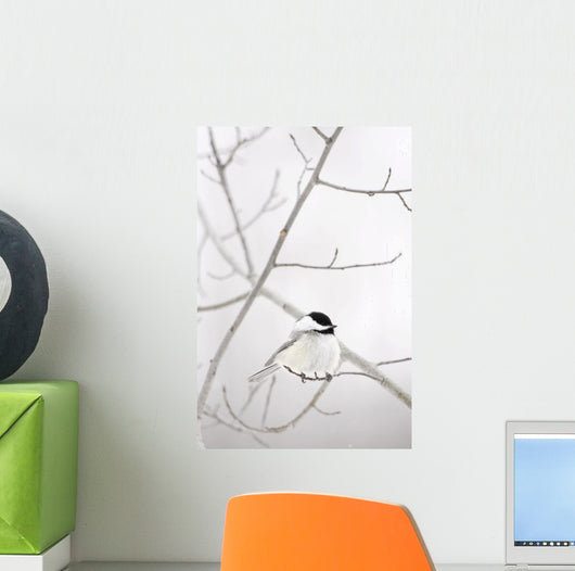 Bird On A Branch Wall Mural